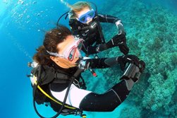 Lanzarote Scuba Diving Holiday - Costa Teguise. 